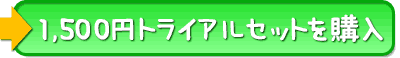 トライアル